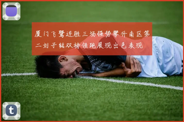 厦门飞鹭连胜三场强势攀升南区第二刘子铭双榜领跑展现出色表现